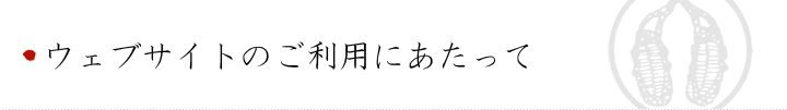 ウェブサイトのご利用にあたって