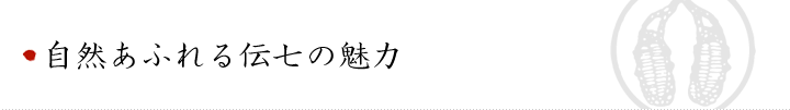 自然あふれる伝七の魅力